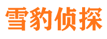 晴隆寻人公司